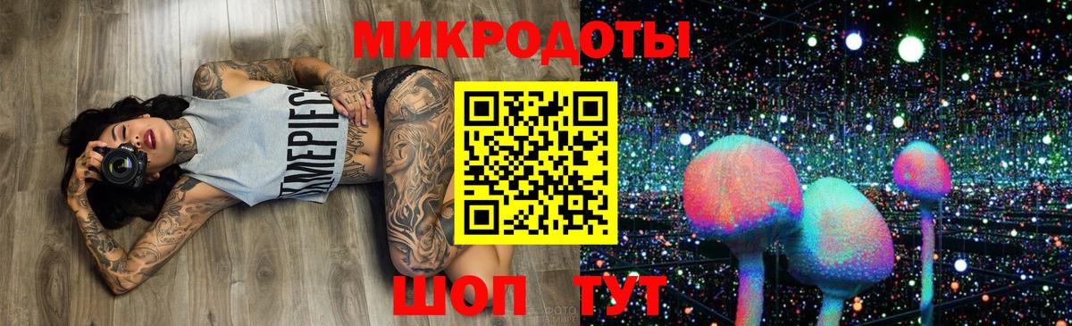 Псилоцибиновые грибы Cubensis Чехов