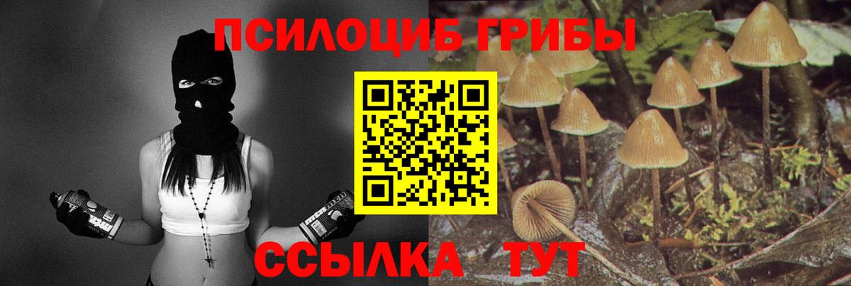 где купить наркоту  Вход с VPN  Чехов  Галлюциногенные грибы мухоморы 